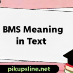 BMS Meaning in Text
