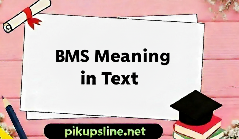 BMS Meaning in Text