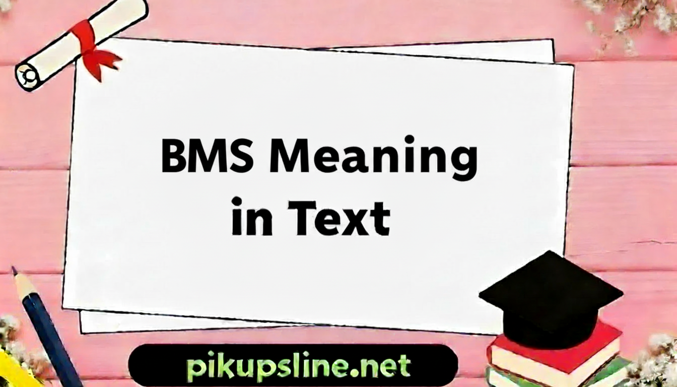 BMS Meaning in Text: Complete Guide & Examples (2026)