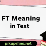 FT Meaning in Text