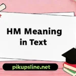 HM Meaning in Text
