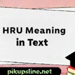 HRU Meaning in Text