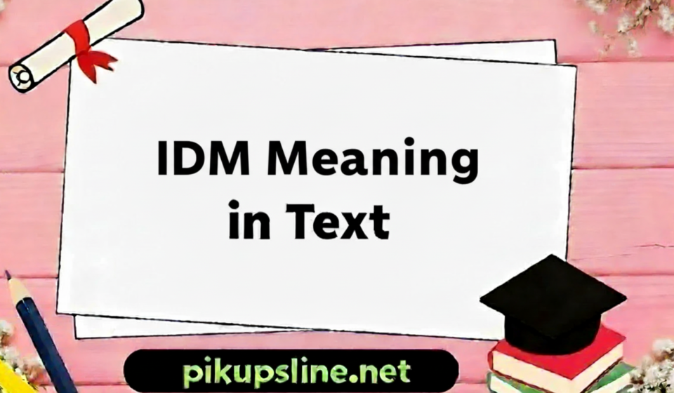 IDM Meaning in Text