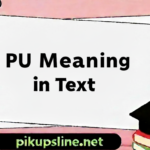 PU Meaning in Text