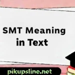 SMT Meaning in Text