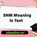 SNM Meaning in Text