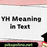 YH Meaning in Text